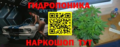 индика Донской