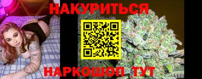 гидра Дубна