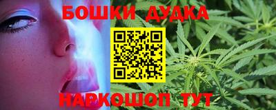 гидра Дубна