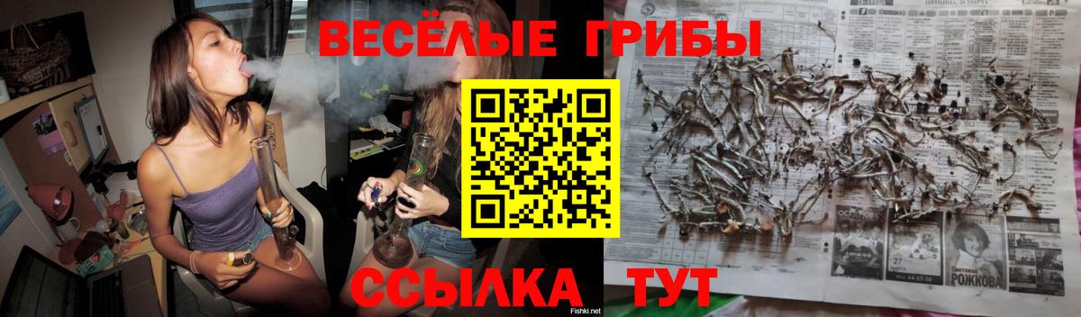 Галлюциногенные грибы мухоморы Балашов